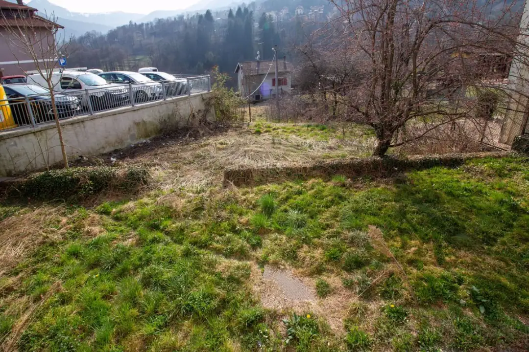 Complesso - Image 20