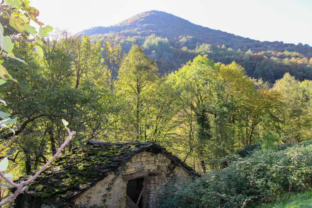 Casa Indipendente - Image 2