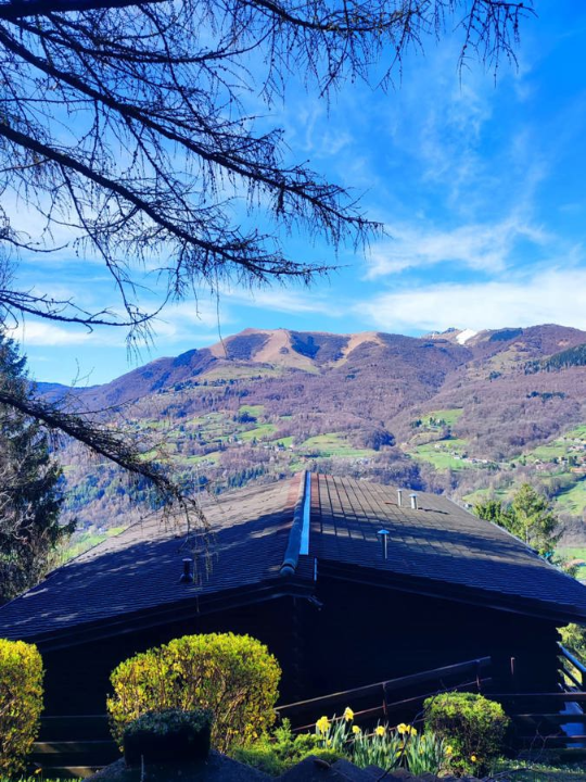 Appartamento - Image 2