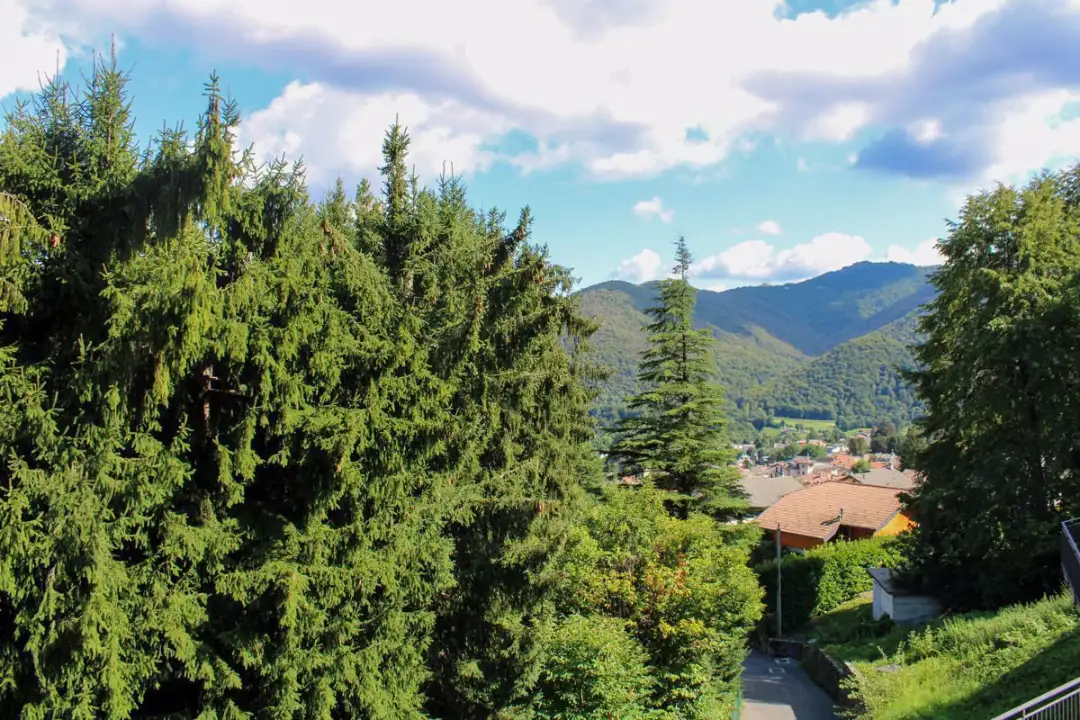 Appartamento - Image 15