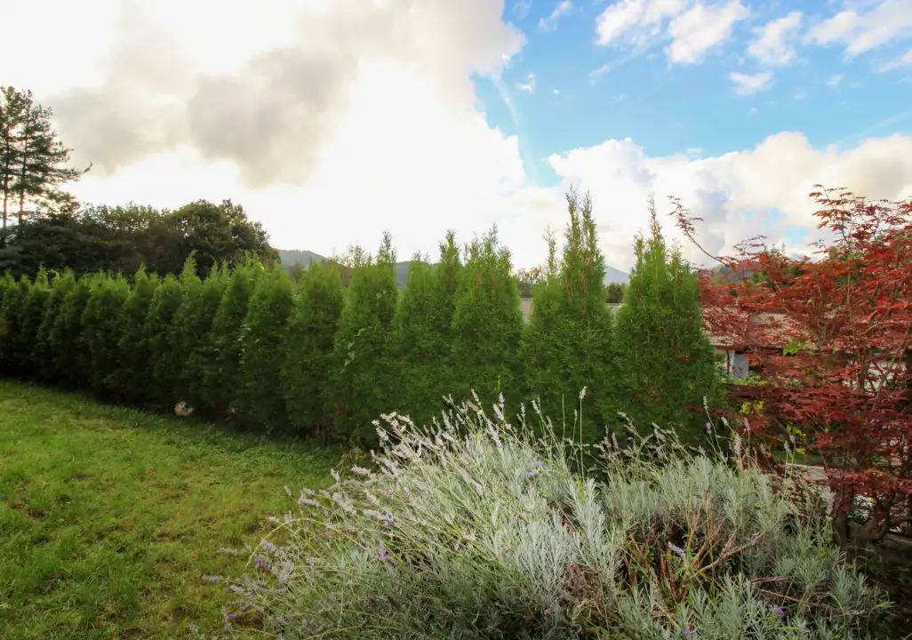 Appartamento - Image 4