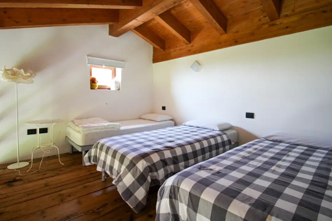 Attività - Image 29