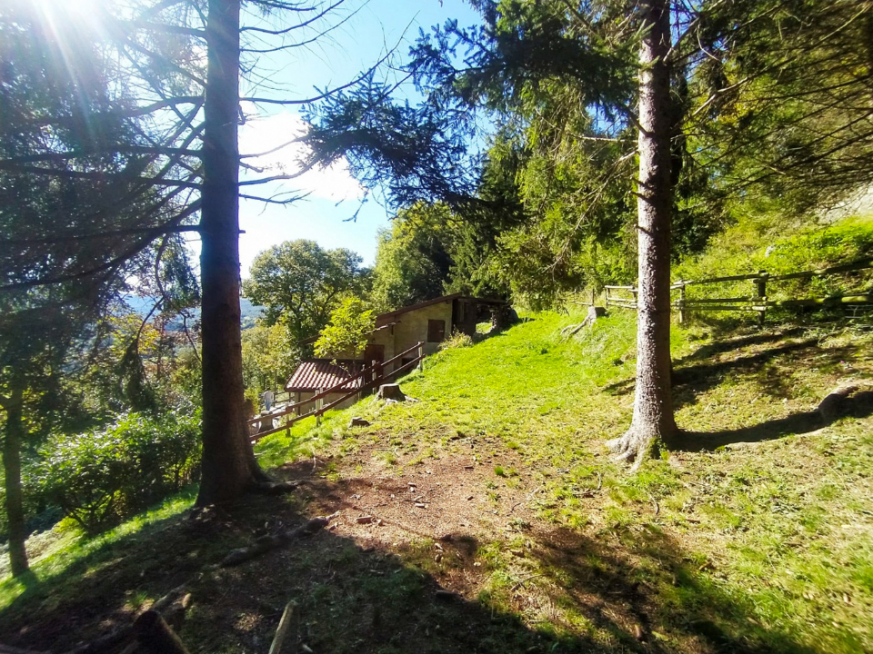 Casa Indipendente - Image 4