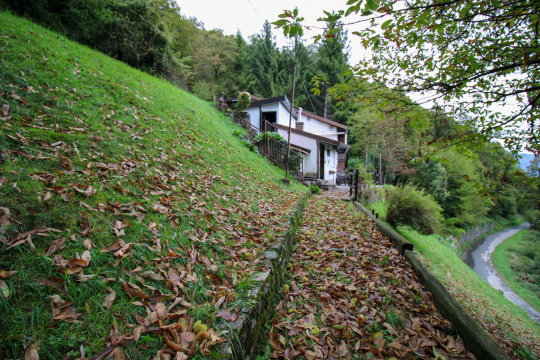 Casa Indipendente - Image 15