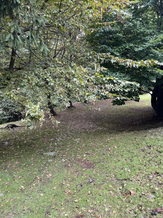 Appartamento - Image 18