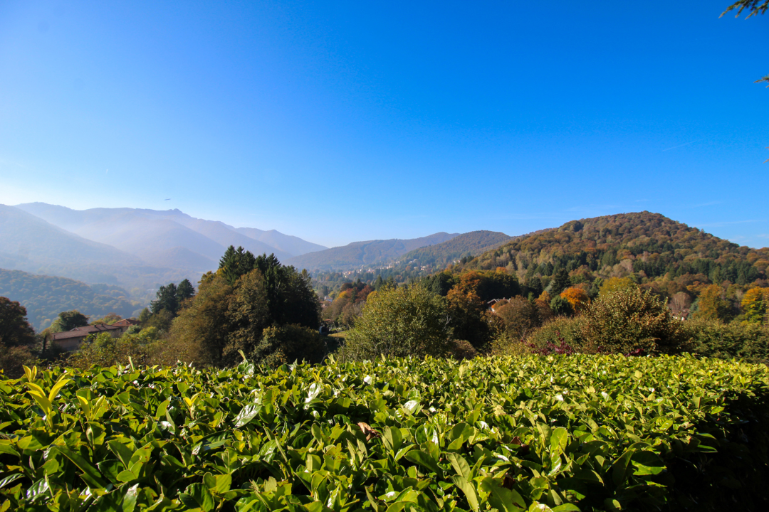 Appartamento - Image 12