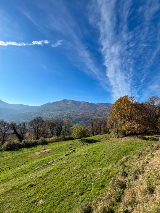 Appartamento - Image 40