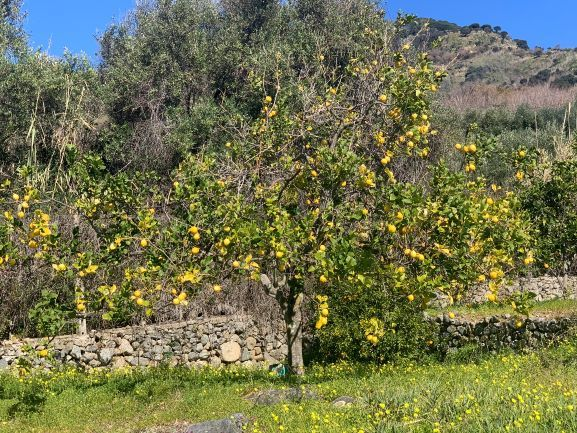 Villa - Image 18