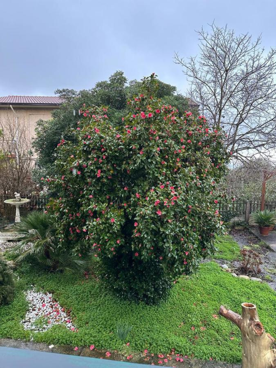 Appartamento - Image 8