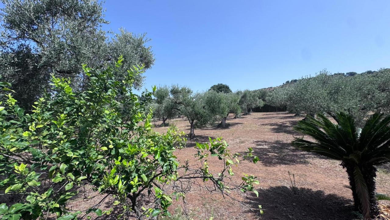 Villa - Image 31