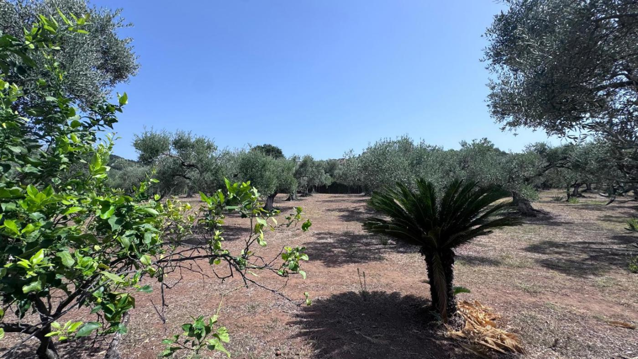 Villa - Image 29