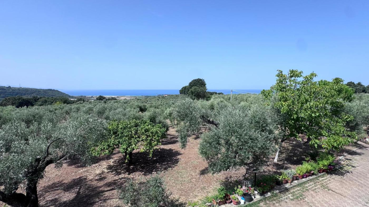 Villa - Image 19