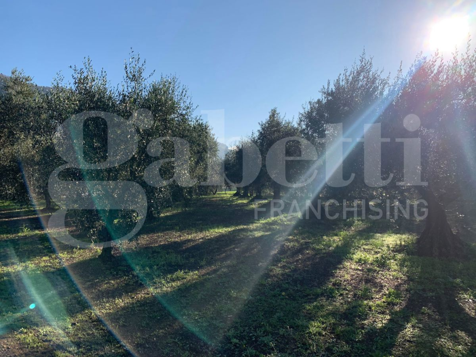 Casa Indipendente - Image 10