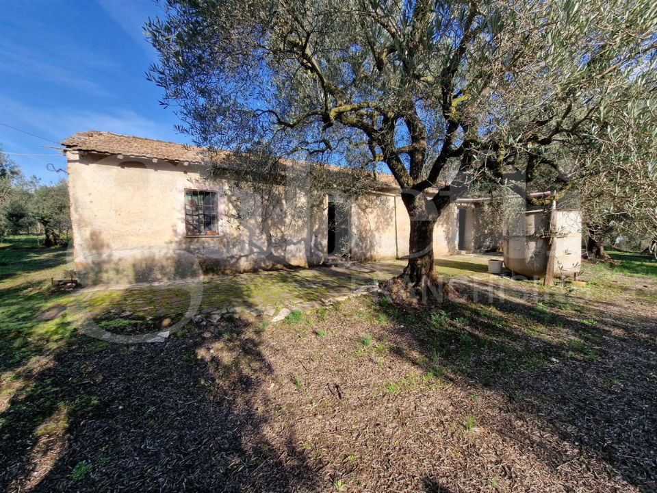 Casa Indipendente - Image 5