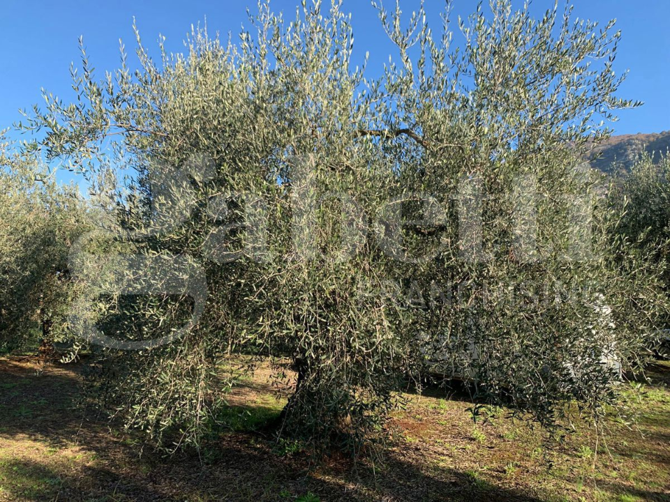 Casa Indipendente - Image 8