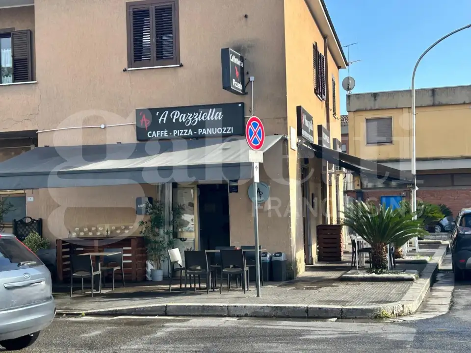 Attività - Image 14