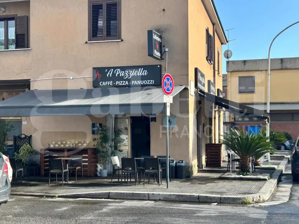 Attività - Image 15