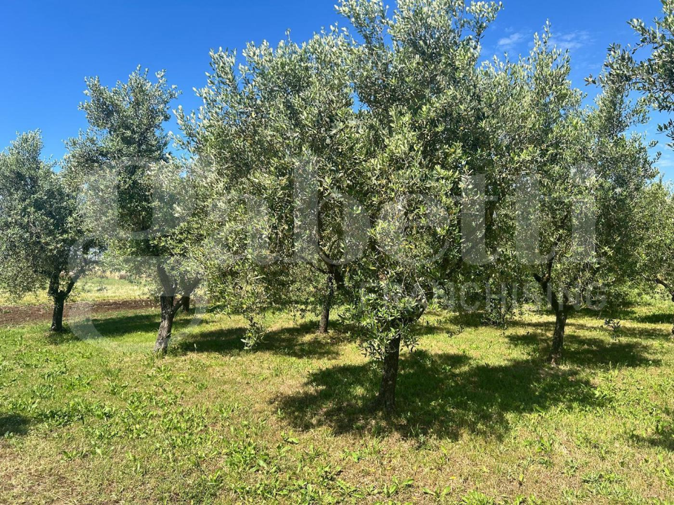 Appartamento - Image 31