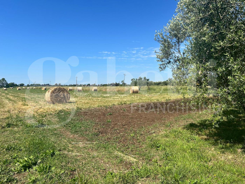 Appartamento - Image 34