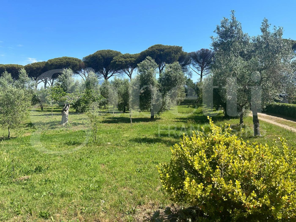 Appartamento - Image 25