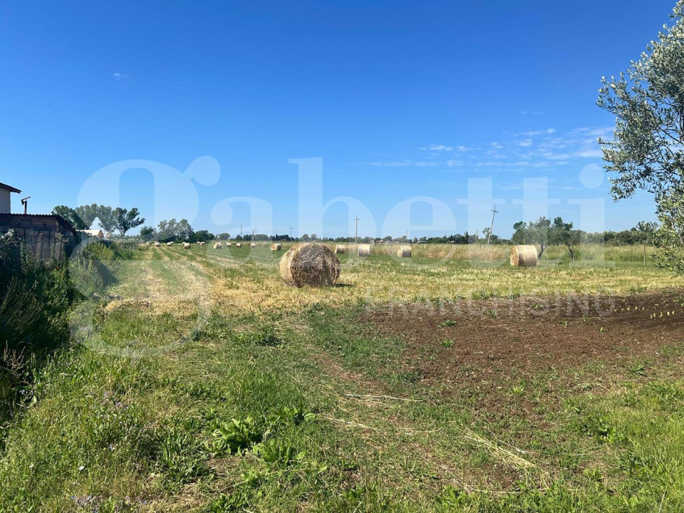 Appartamento - Image 32