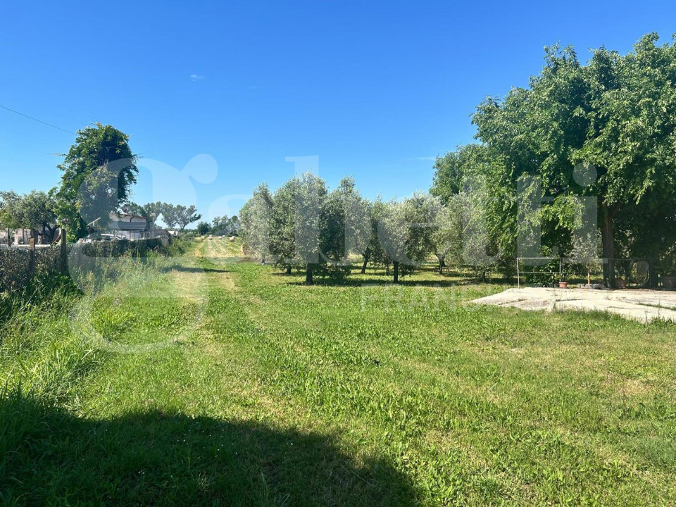 Appartamento - Image 30