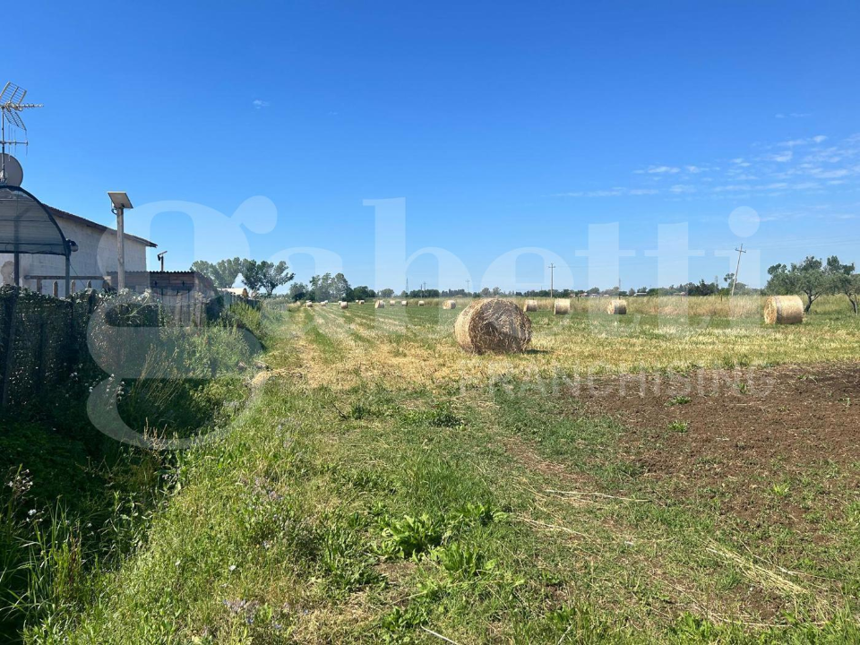 Appartamento - Image 33