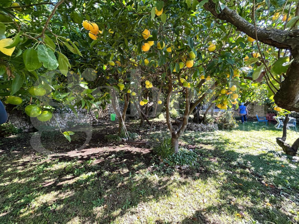 Appartamento - Image 45