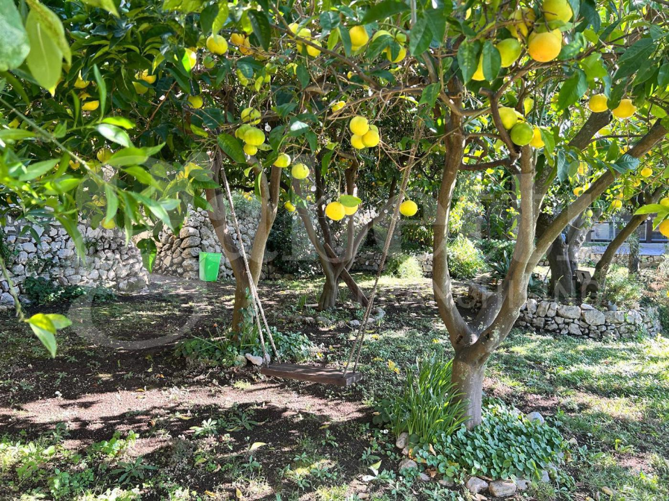 Appartamento - Image 44