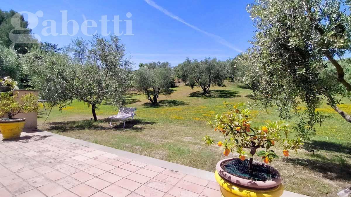 Villa - Image 4