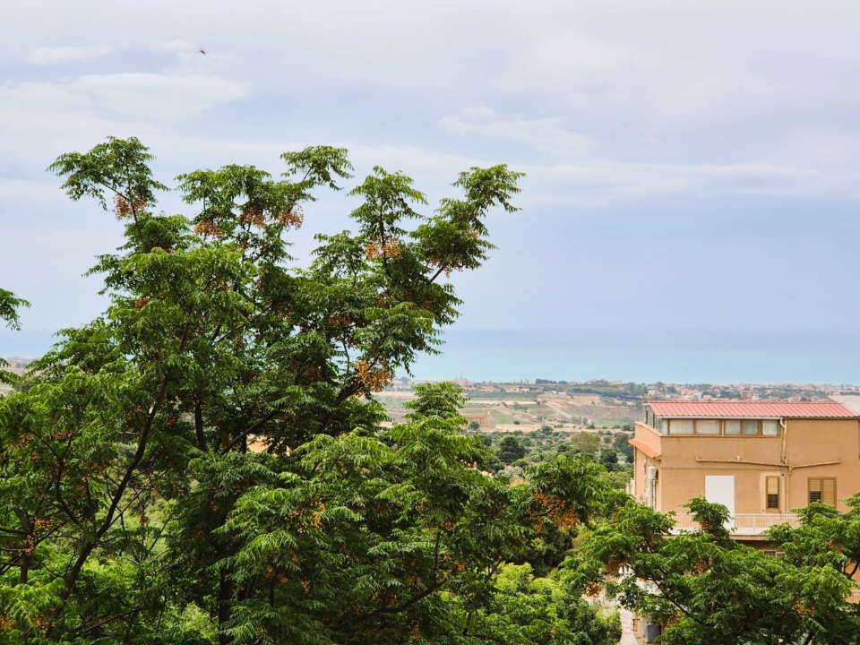 Appartamento - Image 25