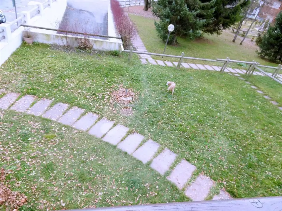 Casa Indipendente - Image 6