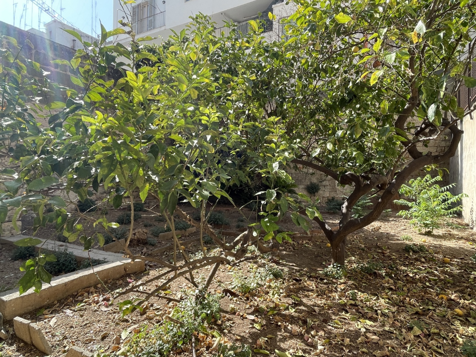 Appartamento - Image 14