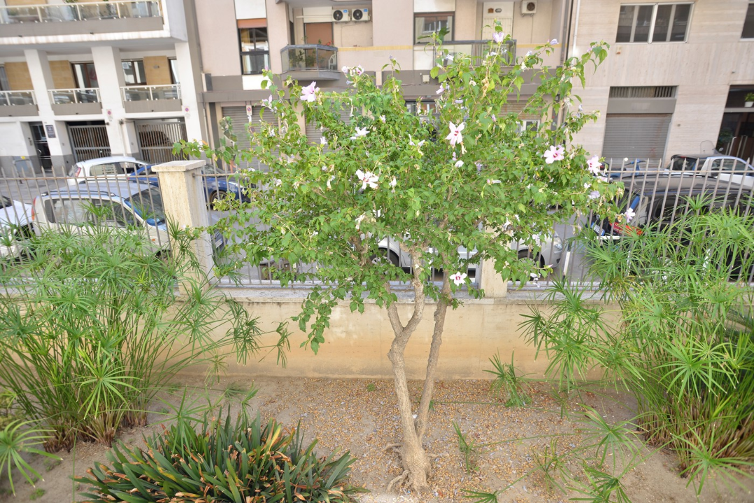 Appartamento - Image 8