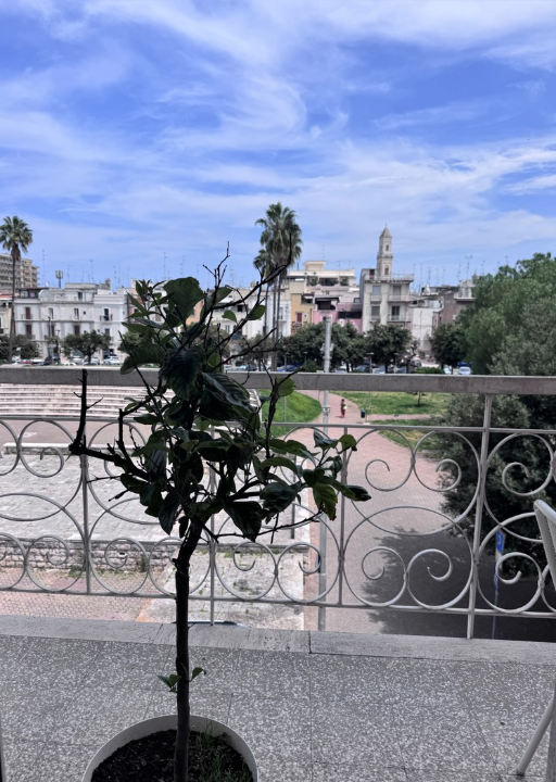 Appartamento - Image 13
