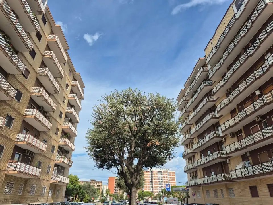 Appartamento - Image 1