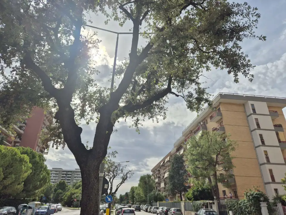 Appartamento - Image 19