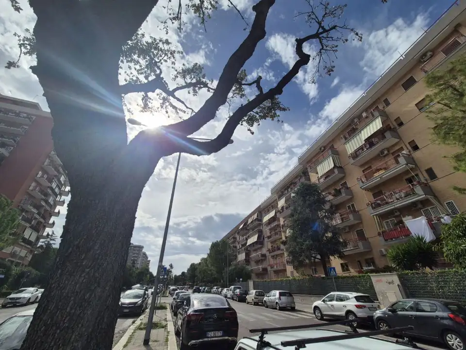 Appartamento - Image 5