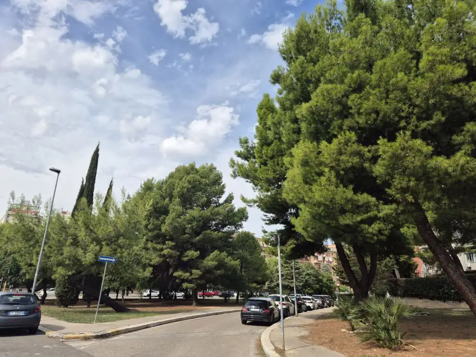 Appartamento - Image 13