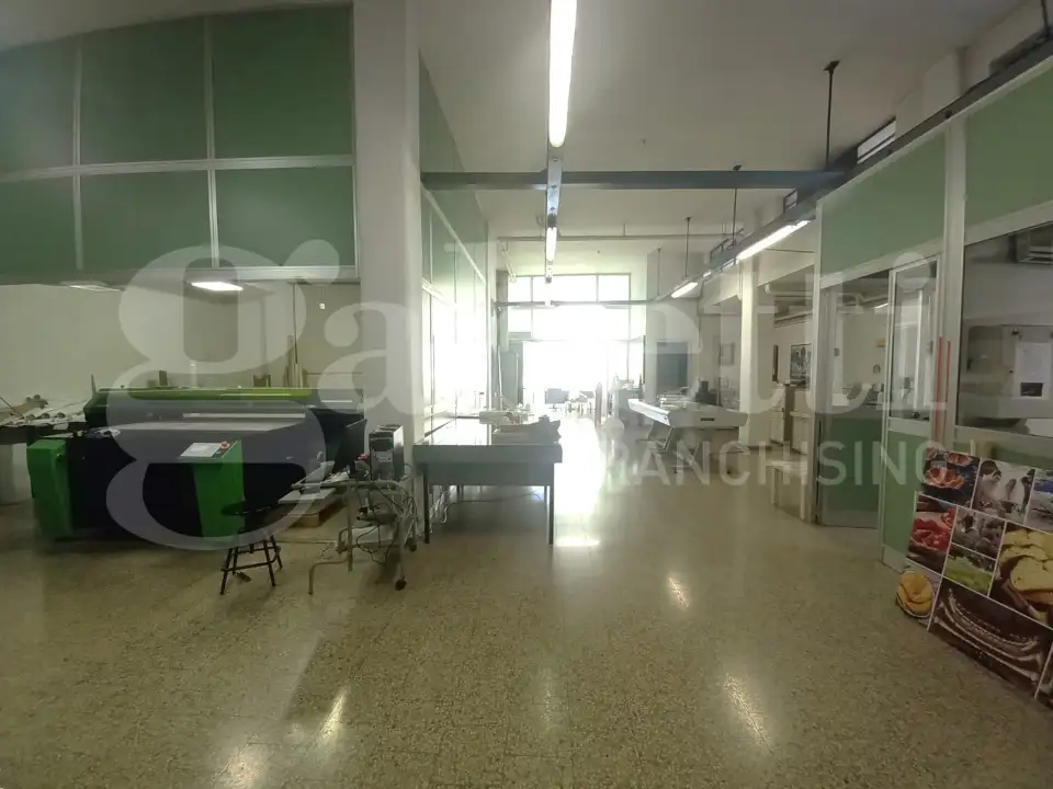 Laboratorio - Image 10