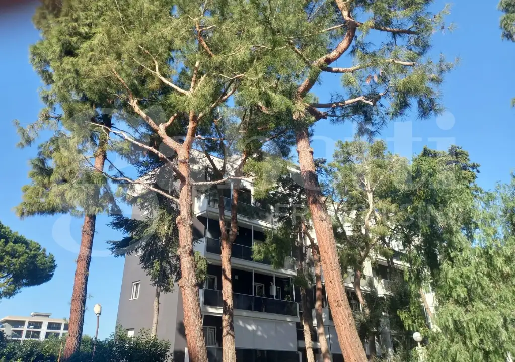 Laboratorio - Image 15