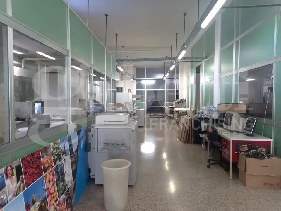 Laboratorio - Image 3