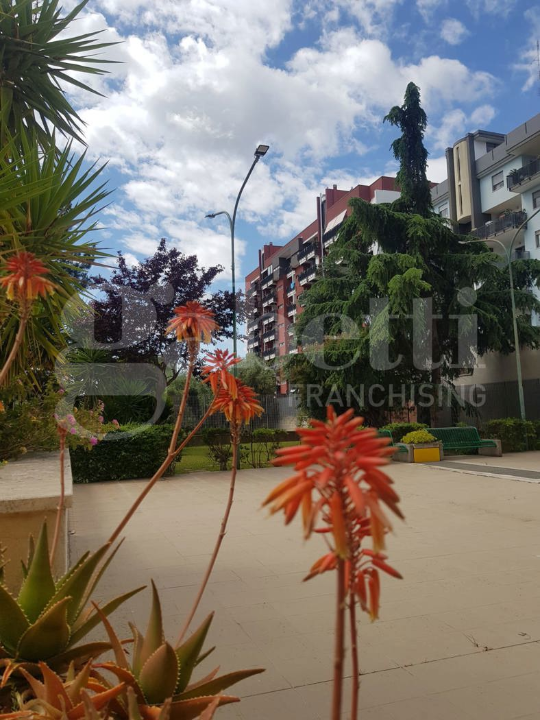 Appartamento - Image 32