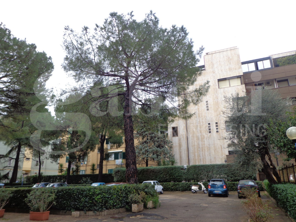 Appartamento - Image 21