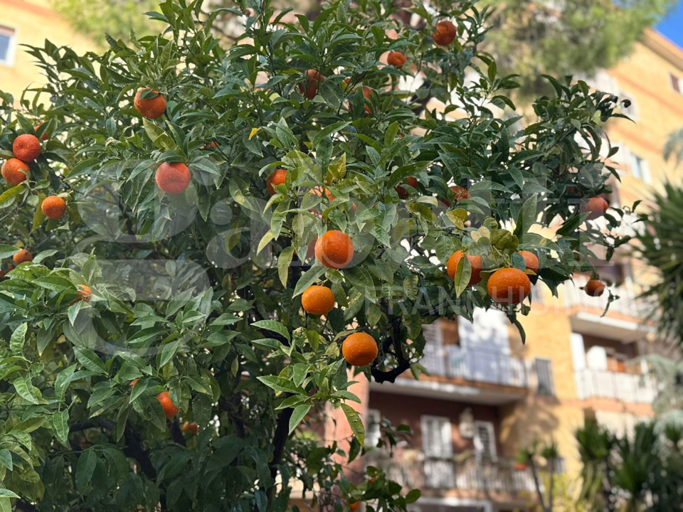 Appartamento - Image 24