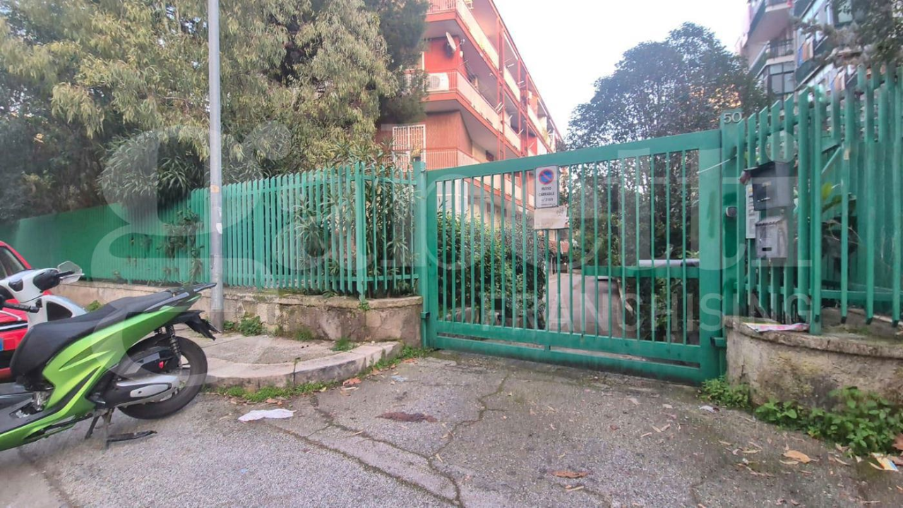 Magazzino - Image 16