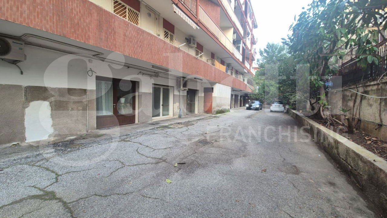 Magazzino - Image 15