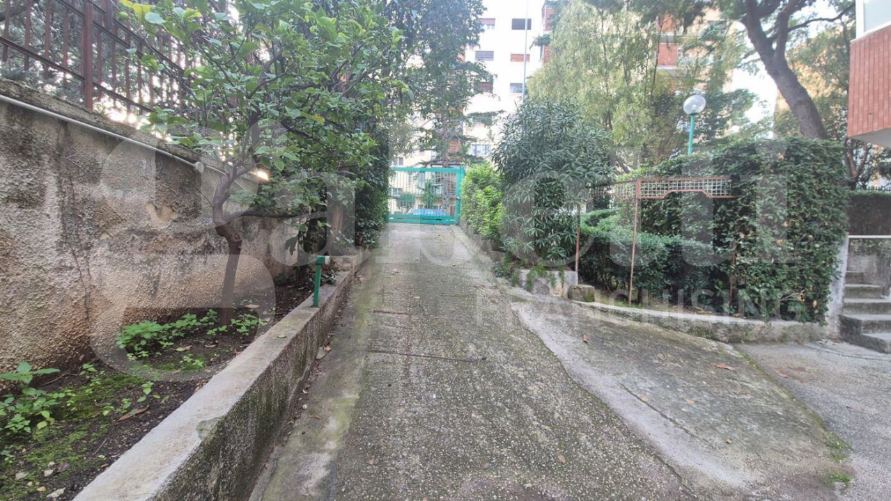 Magazzino - Image 14