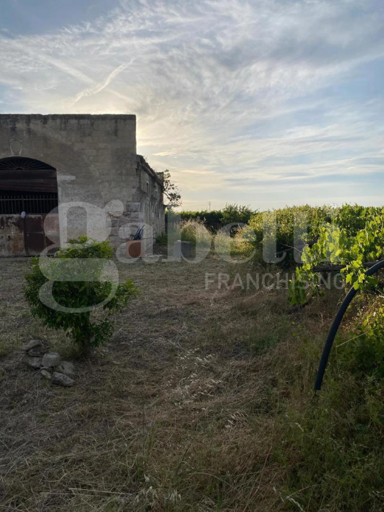 Casa Indipendente - Image 2