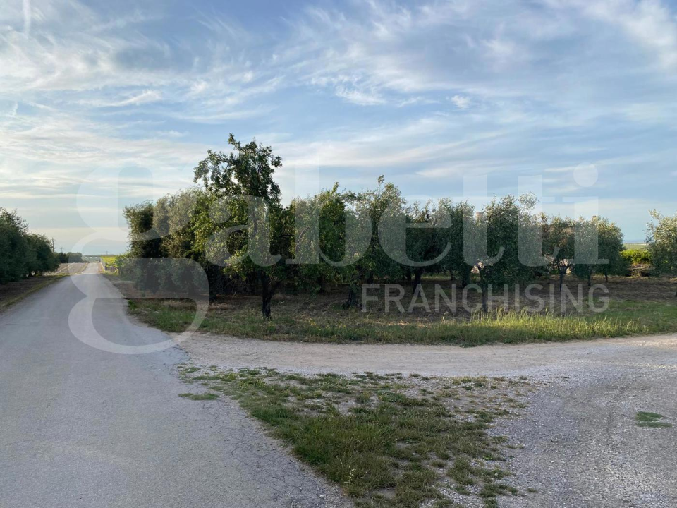 Casa Indipendente - Image 12